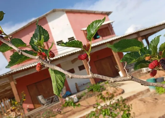 Fazenda Terra Bonita