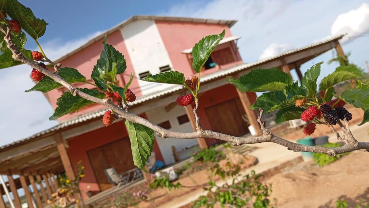 Fazenda Terra Bonita Farm stay *